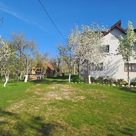 Poiana Mărului Casa Cristalul Muntilor酒店 外观 照片