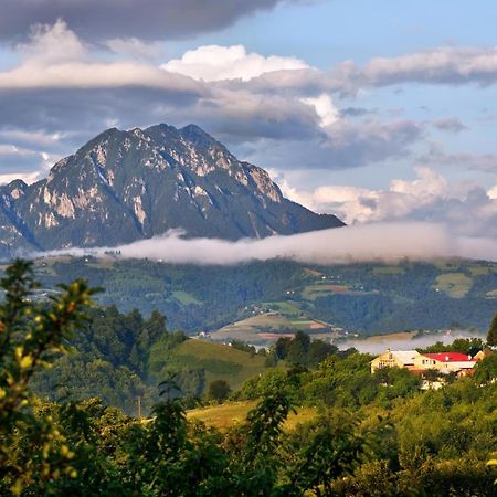 Poiana Mărului Casa Cristalul Muntilor酒店 外观 照片