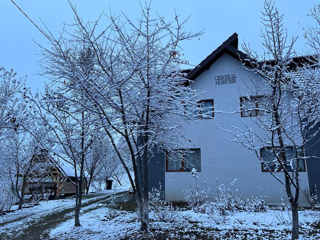 Poiana Mărului Casa Cristalul Muntilor酒店 外观 照片