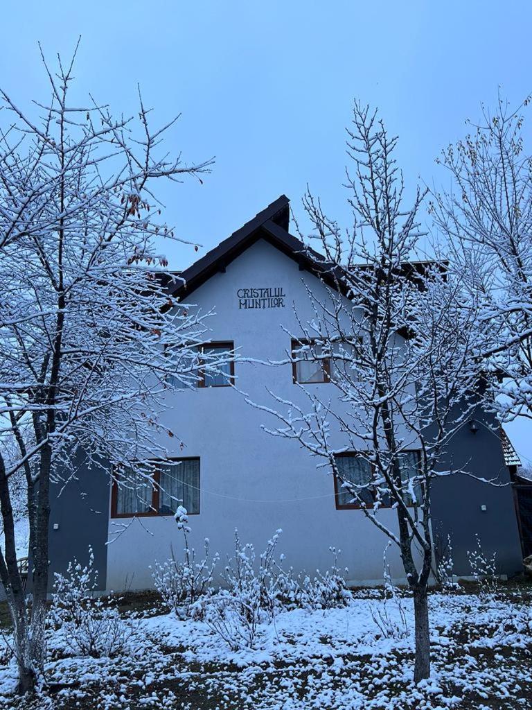 Poiana Mărului Casa Cristalul Muntilor酒店 外观 照片
