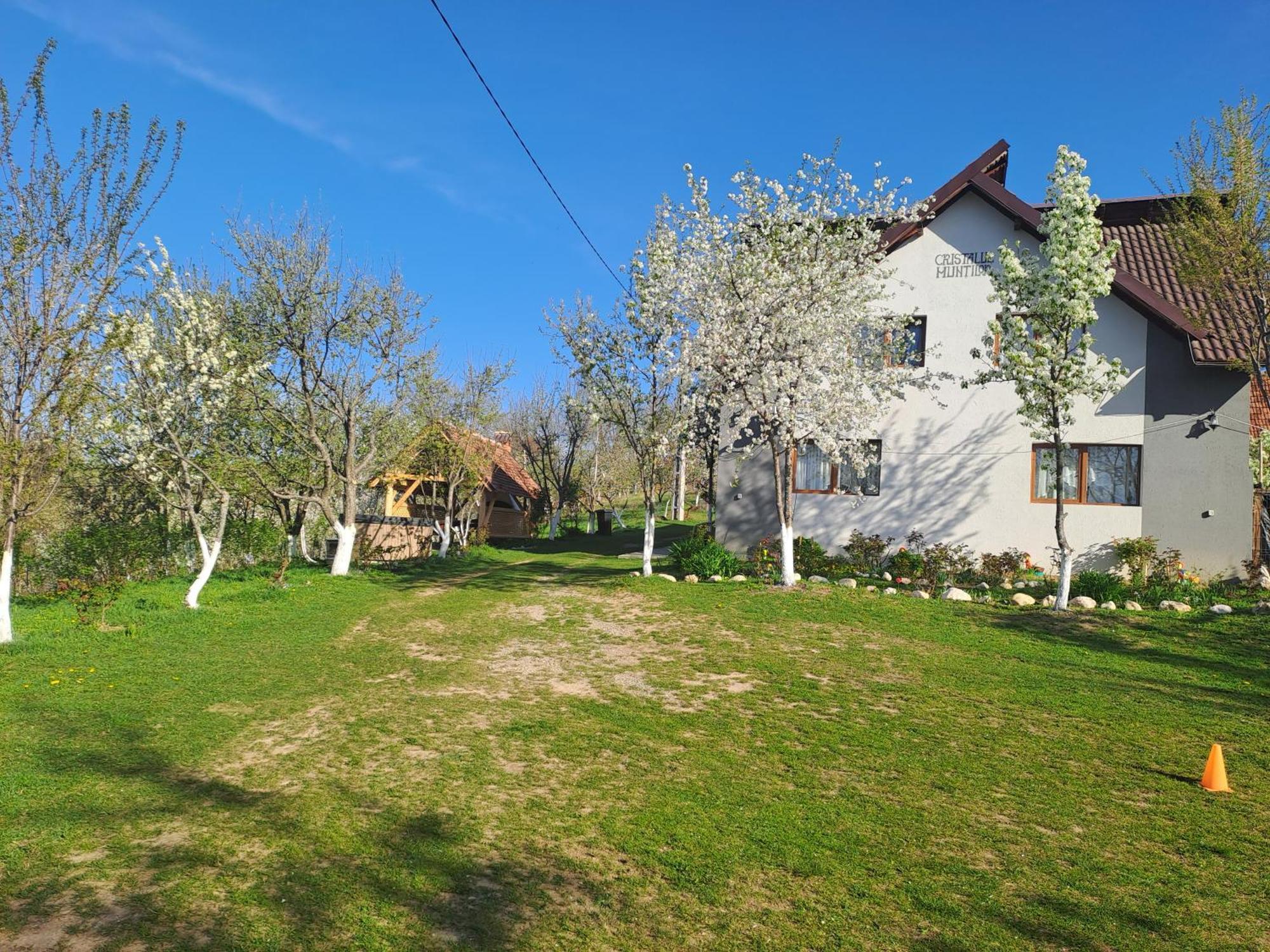 Poiana Mărului Casa Cristalul Muntilor酒店 外观 照片