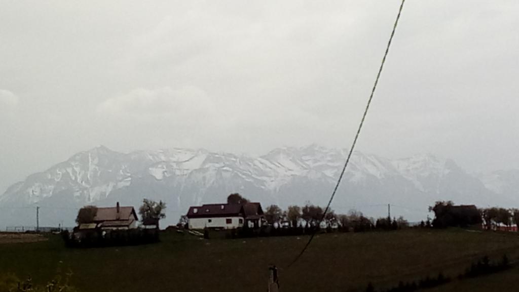 Poiana Mărului Casa Cristalul Muntilor酒店 外观 照片