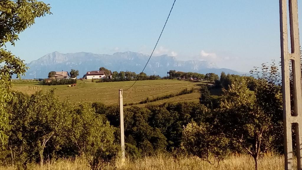 Poiana Mărului Casa Cristalul Muntilor酒店 外观 照片