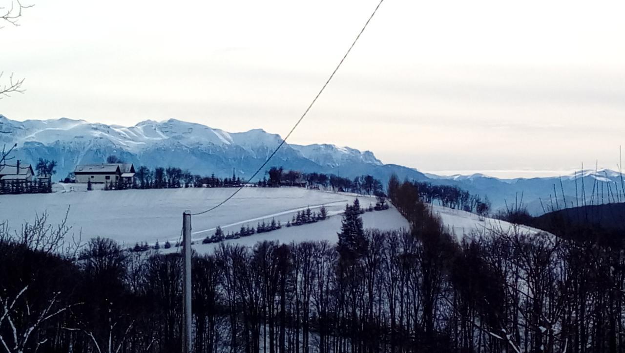Poiana Mărului Casa Cristalul Muntilor酒店 外观 照片